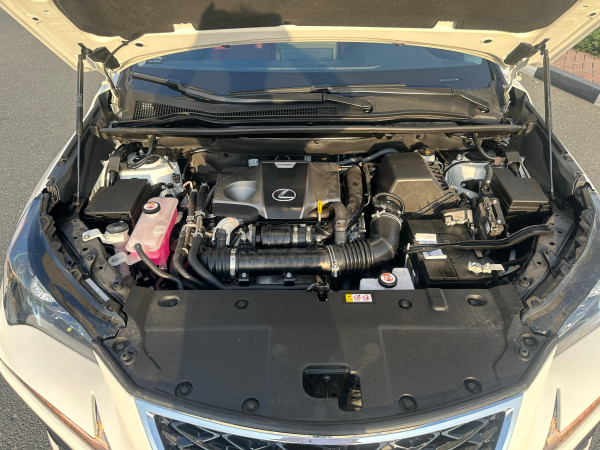 Lexus NX 300 2021  White LHD Petrol AT SUV Crossover 2WD view 17