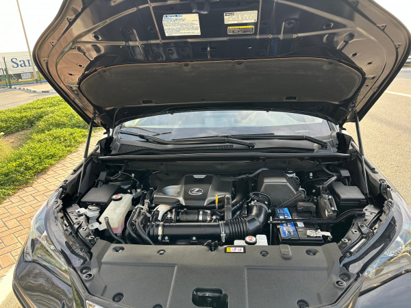 Lexus NX 300 2020  Black LHD Petrol AT SUV Crossover 2WD view 16