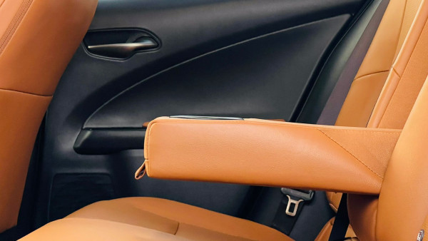 Lexus 250 2019  Gold RHD Gasoline AT SUV 4WD view 10