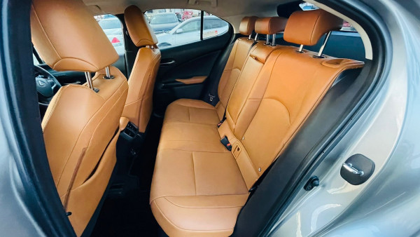 Lexus 250 2019  Gold RHD Gasoline AT SUV 4WD view 16