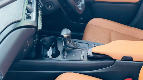 Lexus 250 2019  Gold RHD Gasoline AT SUV 4WD view 17