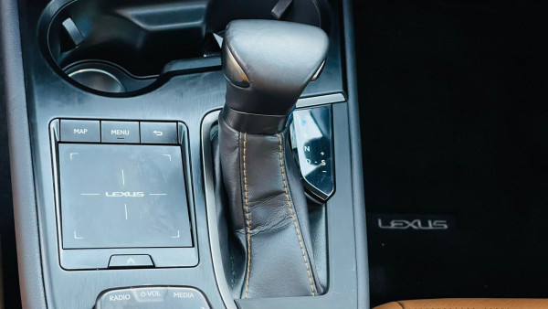 Lexus 250 2019  Gold RHD Gasoline AT SUV 4WD view 18
