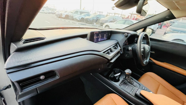 Lexus 250 2019  Gold RHD Gasoline AT SUV 4WD view 20