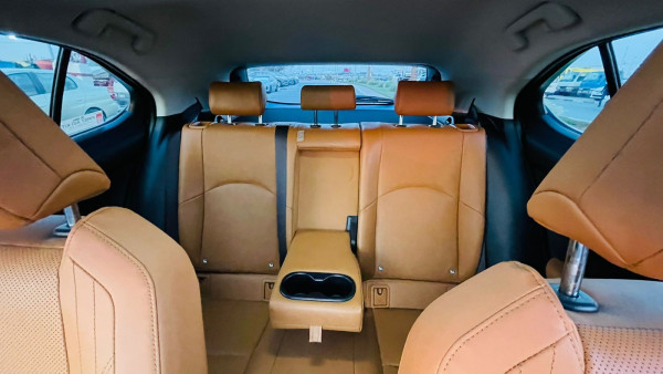 Lexus 250 2019  Gold RHD Gasoline AT SUV 4WD view 21