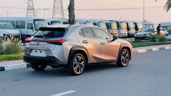 Lexus 250 2019  Gold RHD Gasoline AT SUV 4WD view 23