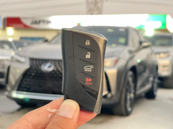 Lexus 250 2019  Gold RHD Gasoline AT SUV 4WD view 24