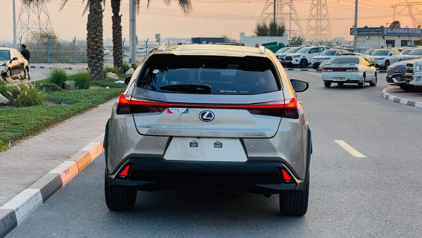 Lexus 250 2019  Gold RHD Gasoline AT SUV 4WD view 25