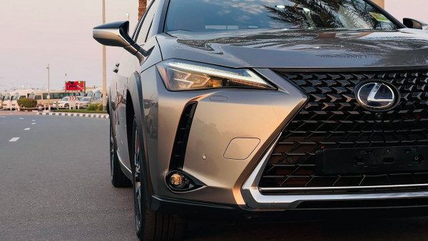 Lexus 250 2019  Gold RHD Gasoline AT SUV 4WD view 29