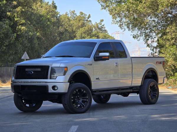 Ford F 150 2014/ Silver LHD Petrol AT Pickup 4WD view 16