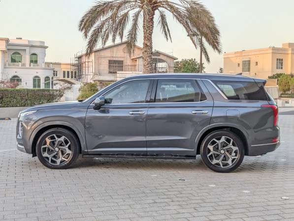 Hyundai Palisade 2022/ Grey LHD Diesel AT SUV 2WD view 19