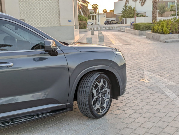 Hyundai Palisade 2022/ Grey LHD Diesel AT SUV 2WD view 23