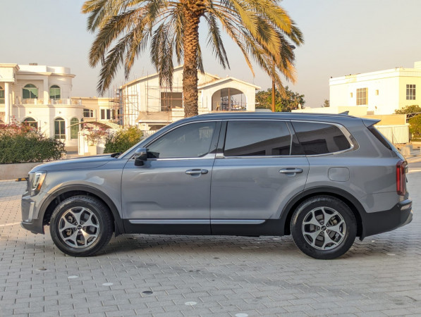 Kia Telluride 2020/ Grey LHD Petrol AT SUV 2WD view 19